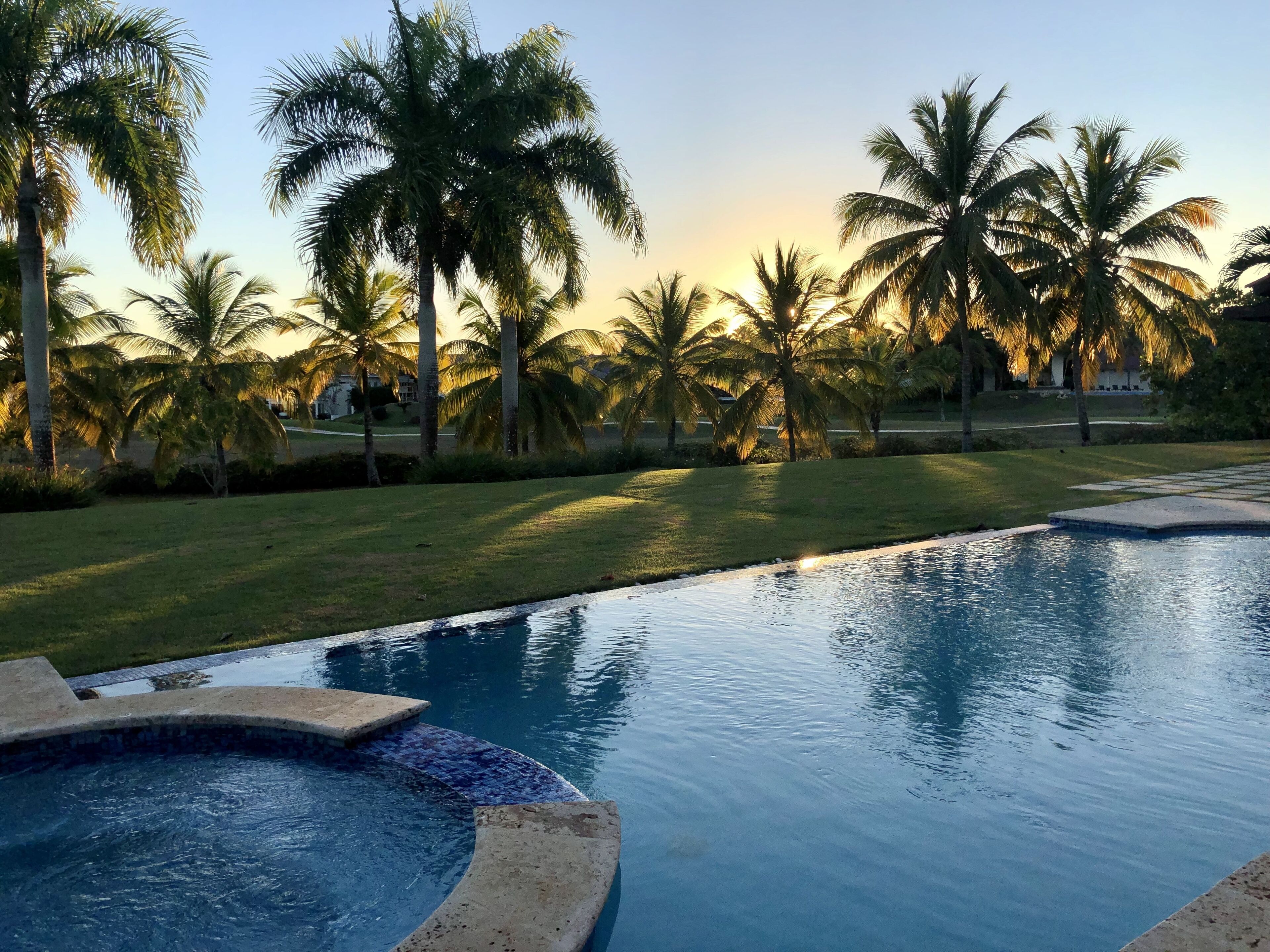 A swimming pool with a curved edge, surrounded by palm trees and a grassy area.