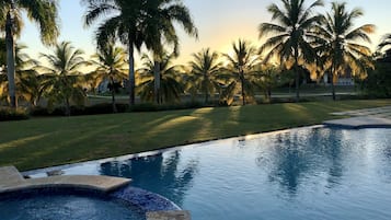 A swimming pool with a curved edge, surrounded by palm trees and a grassy area.