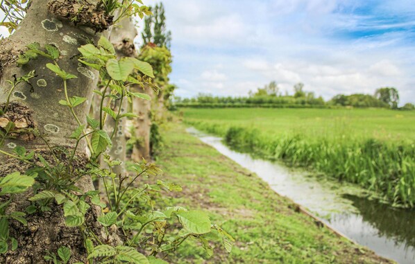 A riverbank with vegetation and a concrete structure. - Pet friendly (sta)caravan in Woubrugge (Woubrugge)