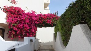 Une ruelle étroite aux murs blancs et à la porte noire, qui mène à un immeuble doté d’un balcon orné de fleurs roses.