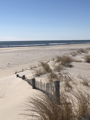Een zandstrand met een houten omheining en duinen.