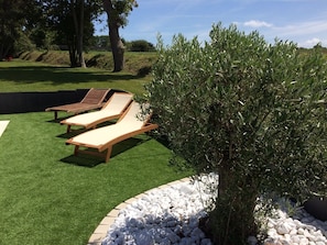 المنطقة المحيطة بالمنشأة