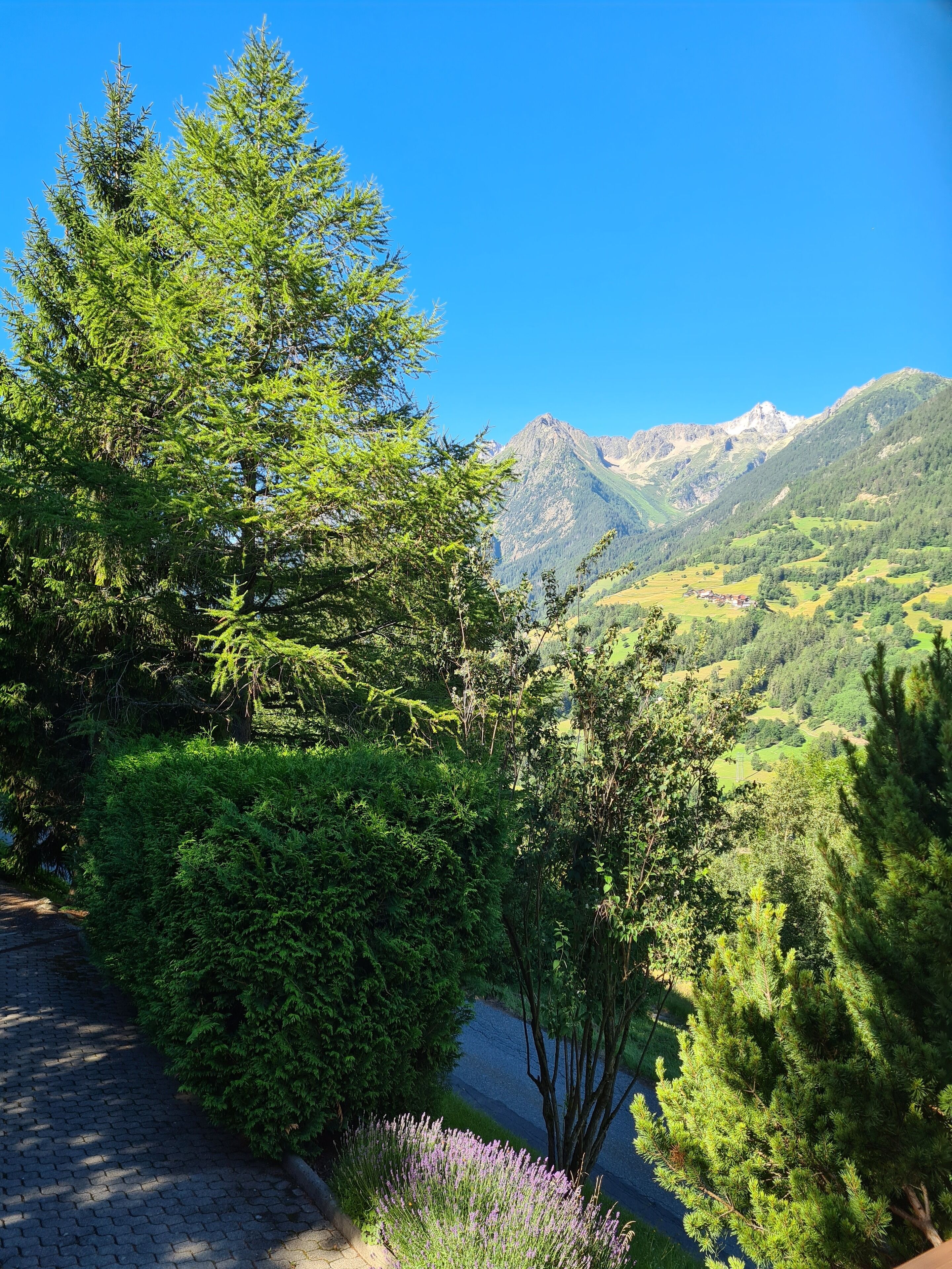 Overnatningsstedets område