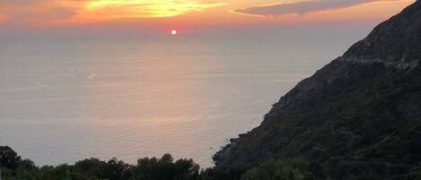 A coastal landscape with a sunset over the sea, a rocky hillside, and a vineyard in the foreground.