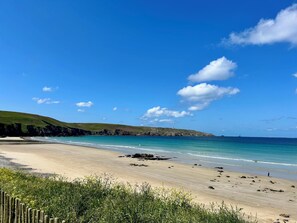 A beach with clear blue water, a sandy shore, and a grassy hill in the background.