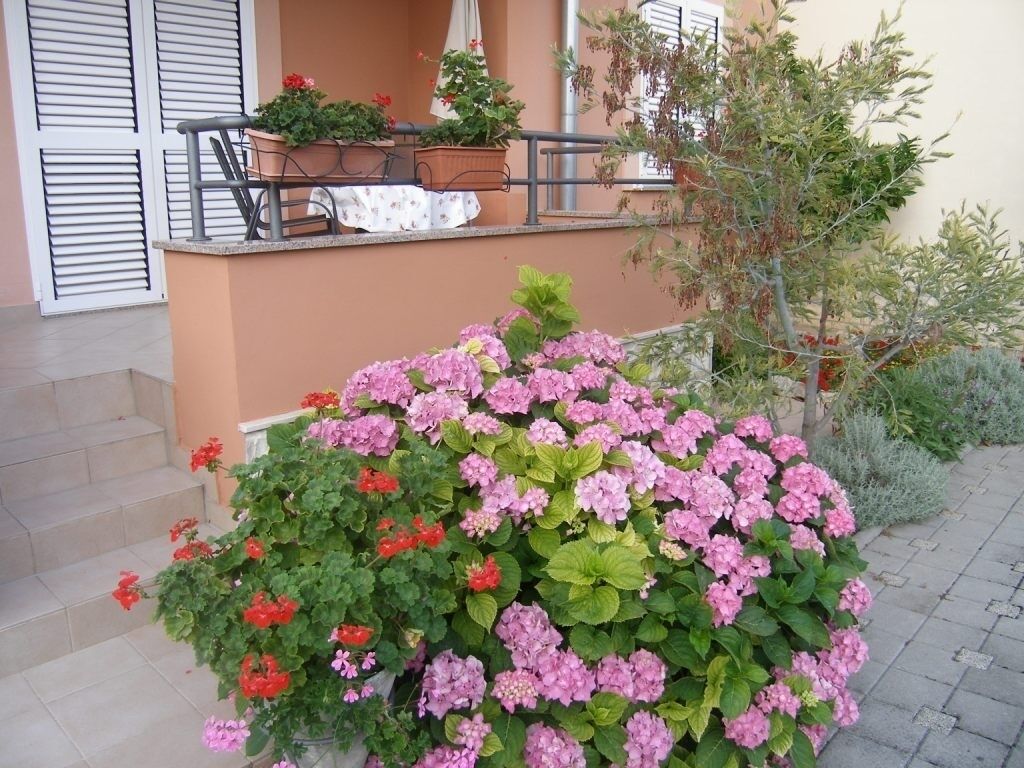 A garden with pink and red flowers, a staircase, and a railing.