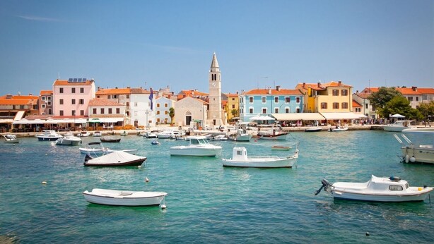 Una marina con diversi tipi di imbarcazioni ormeggiate, circondata da edifici colorati e un'imponente torre campanaria.