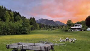 A rural landscape with a field, a wooden cart, and a mountain in the background.