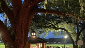 A gazebo under a large tree with a view of a park and a baseball field in the background. - Grand Oaks Resort (Lady Lake)