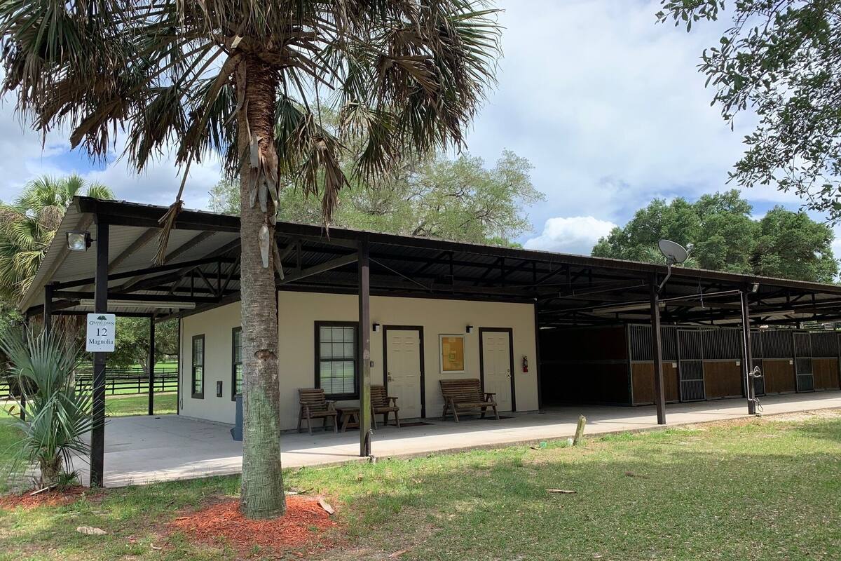 A covered outdoor area with a building, benches, and a palm tree.