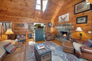 TV, fireplace, books