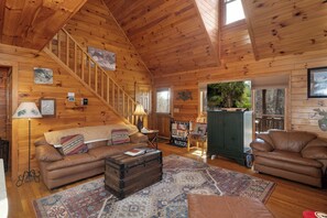 TV, fireplace, books