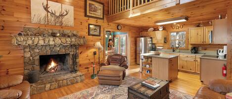 TV, fireplace, books