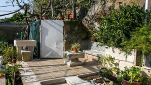 A stone-tiled patio with steps leading to a door, surrounded by potted plants and a stone wall. - Guest House Kusalo- Basic Triple Room with Patio (Dubrovnik)