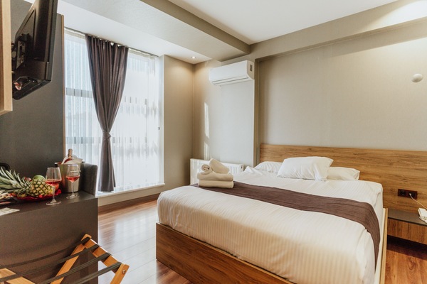 Standard Double Room, Non Smoking, City View | Premium bedding, minibar, desk, laptop workspace