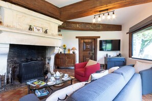 Televisión, chimenea, videojuegos y reproductor de DVD 