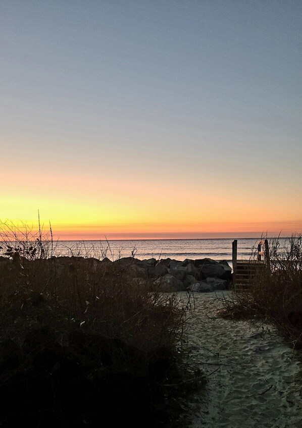 Nära stranden