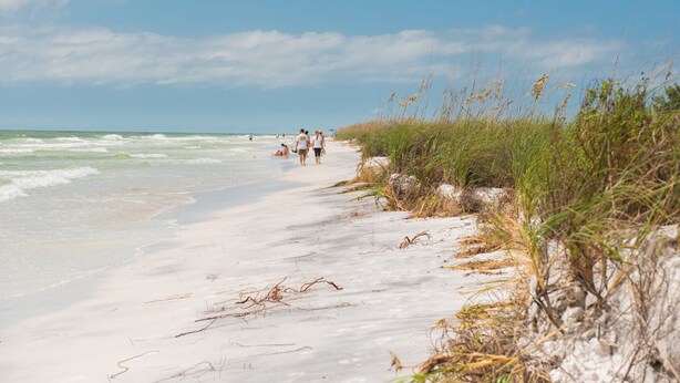 A sandy beach with people walking, grassy dunes, and ocean waves.
