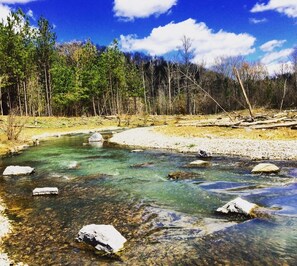 Surrounded by a forest, this serene river flows gently along a sandy riverbank.