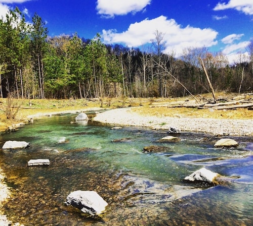 Above J’town Marina, LCKY. boat parking. 3 full baths. pool table. pet friendly.