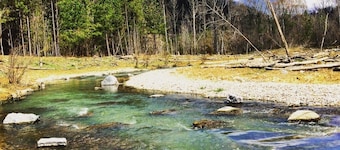 Above J’town Marina, LCKY. boat parking. 3 full baths. pool table. pet friendly.