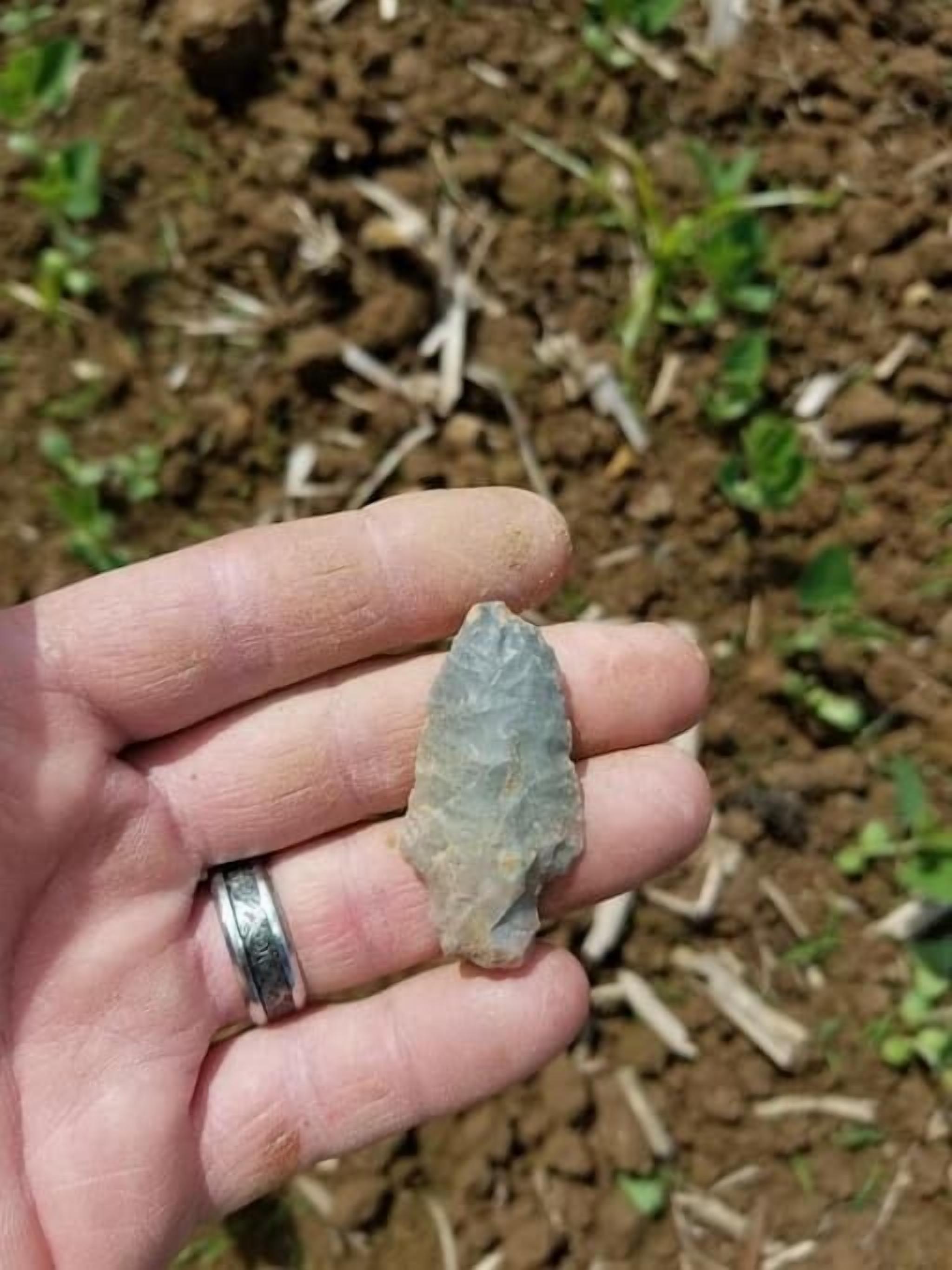 Una mano sosteniendo una roca.