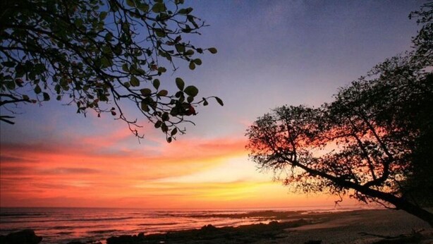 Un coucher de soleil sur une plage, avec les silhouettes d’arbres se découpant sur un ciel dégagé.