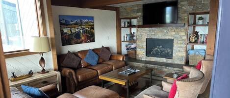 Älytelevisio, takka, DVD-soitin, kirjoja