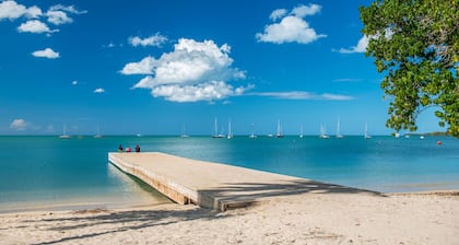 Spectacular Ocean View Penthouse, Terrace, 2br, 2bth - Surrounded by Nature