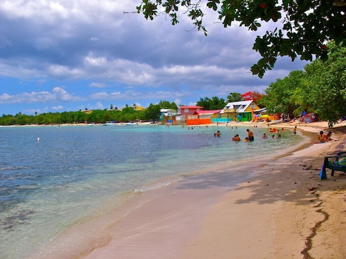 Spectacular Ocean View  Penthouse, Terrace, 2br, 2bth -  Surrounded by Nature