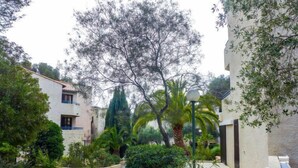 A narrow street flanked by buildings with balconies and a palm tree. - Résidence Les Jardins d'Azur by Interhome (Saint-Raphaël)