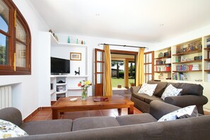 Télévision, cheminée, console de jeux vidéo, lecteur de DVD