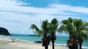 A beach with palm trees, a clear sky, and calm sea. - Shirahama Beach Garden (Miyazaki)