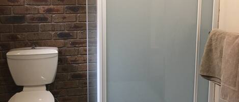 Een badkamer met een douchecabine van glas, een toilet en een handdoek aan de muur.