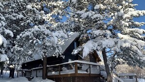 A cabin with a wooden deck and snow-covered trees.