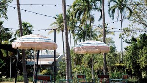 A patio area with outdoor seating under striped umbrellas, surrounded by tall palm trees. - The Continental Hotel Broome (Broome)