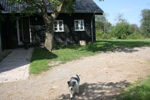 A house with a paved driveway, a tree in front, and a dog walking towards the house. - Teglgaarden bed and breakfast (Svendborg)