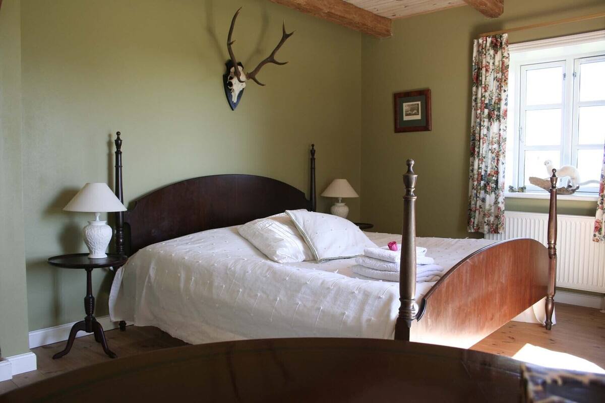 Desk, iron/ironing board (on request), free WiFi, individually decorated