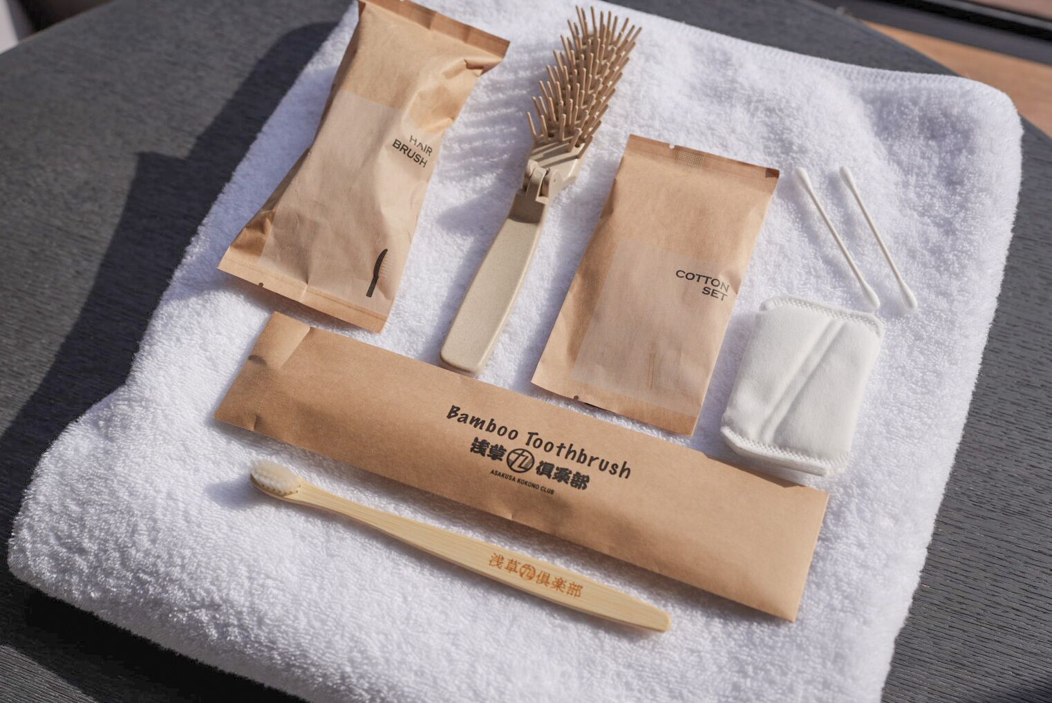 combined shower/bathtub, free toiletries, hair dryer, slippers