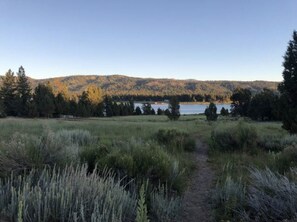 Botó d’imatge sense classificar, 3 de 14