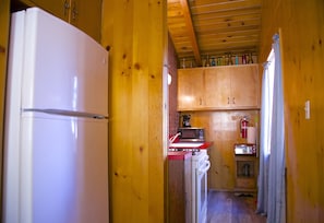 Full-sized fridge, microwave, oven, stovetop