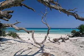 A beach with white sand and a clear blue sea. - ☀ VILLA CARLETTI: 7 PEOPLE - 3 BEDROOMS - 5-MINUTE DRIVE TO THE BEACHES AND SAINT FLORENT (Oletta)