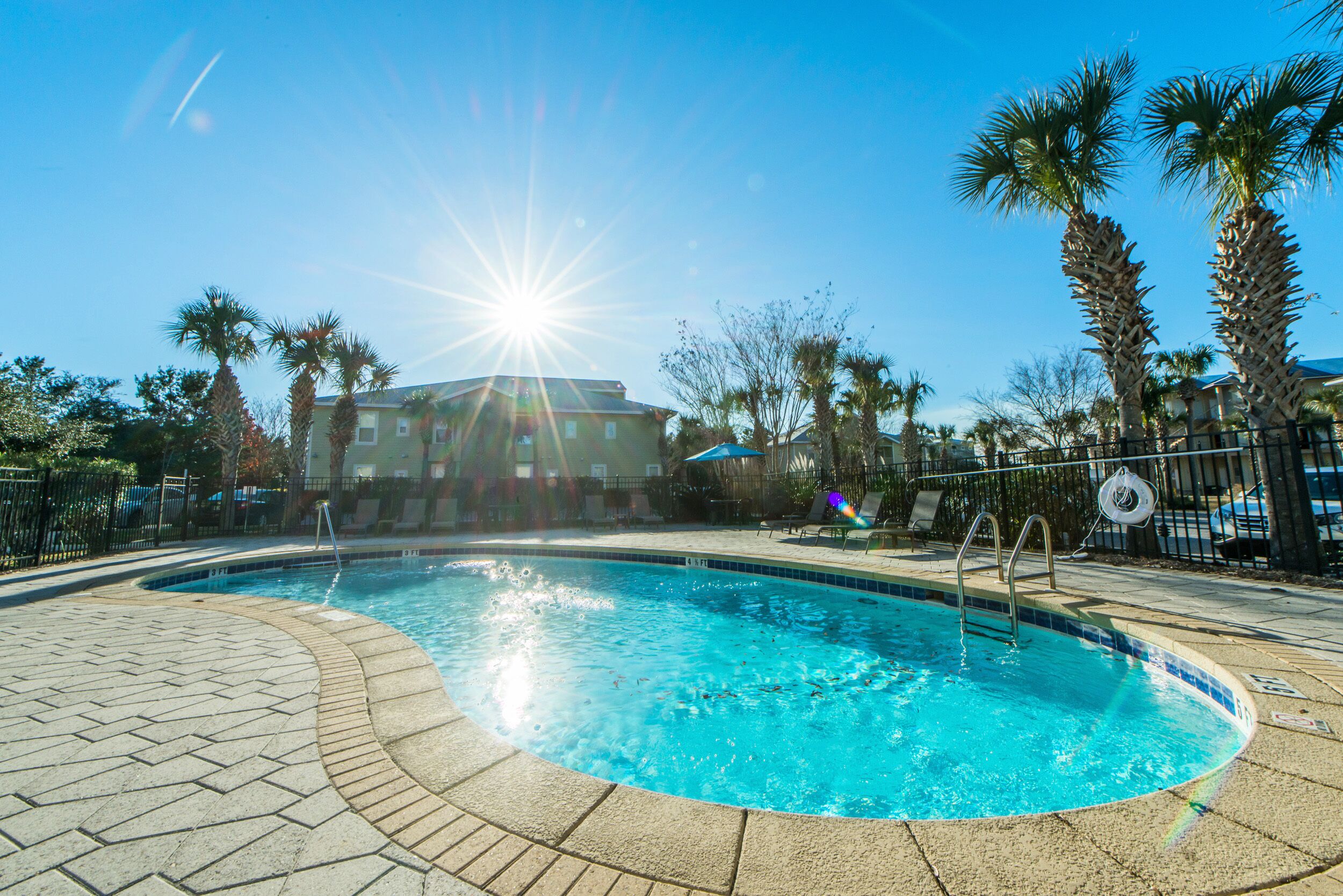 A swimming pool with a tiled edge, surrounded by palm trees and a building in the background.