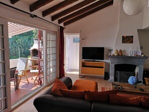 TV, fireplace, DVD player, stereo