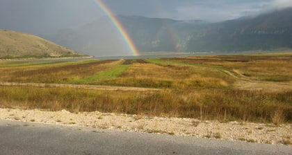 Apartmani Magnolija 1