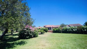 A residential property with a well-maintained lawn, a large tree, and a house with a red-tiled roof. - Appartamento Cala D'Ambra (San Teodoro)