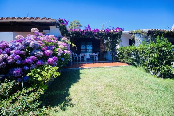 Terrace/patio - Appartamento Cala D'Ambra (San Teodoro)