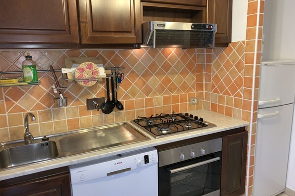 Fridge, oven, stovetop, dishwasher