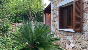A stone building with a window and a large plant in front. - Appartamento Max con Giardino (Agrustos)