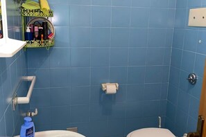 Dusche, Haartrockner, Bidet